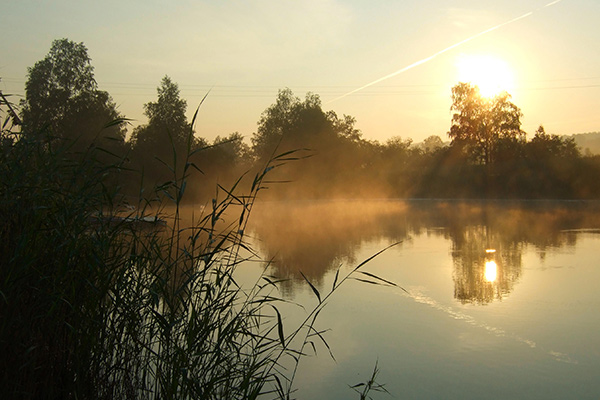 Lakes in New Delhi