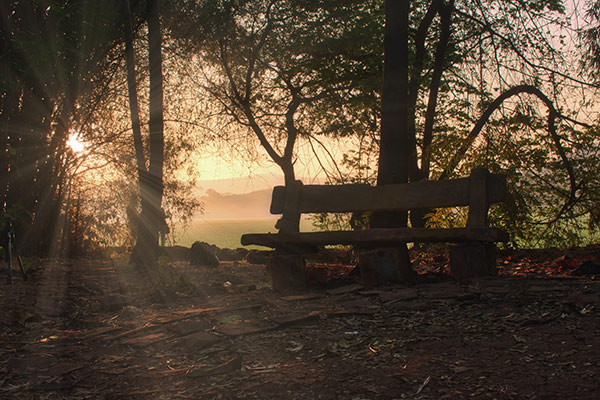 banner-image