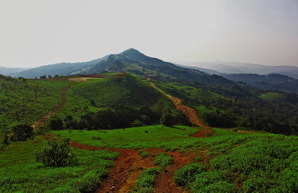 Mandalpatti Viewpoint, Coorg