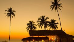 Top 18 Nightclubs and Pubs to Celebrate Nightlife in Goa