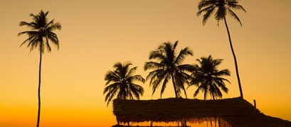 Top 18 Nightclubs and Pubs to Celebrate Nightlife in Goa
