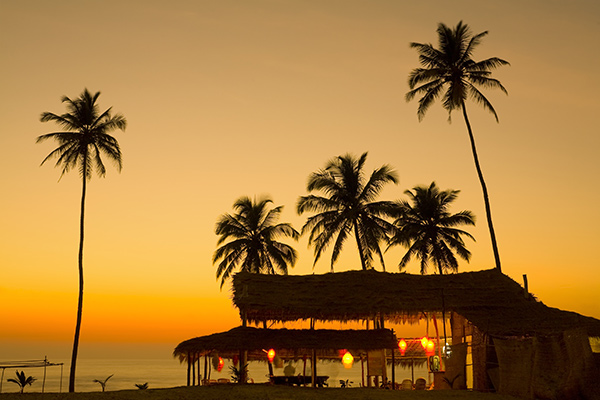banner-image