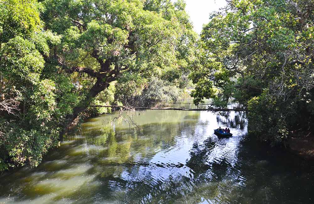 Cauvery Nisargadhama, Coorg