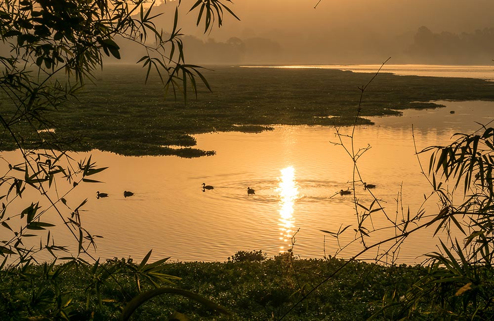 Pashan Lake, Pune