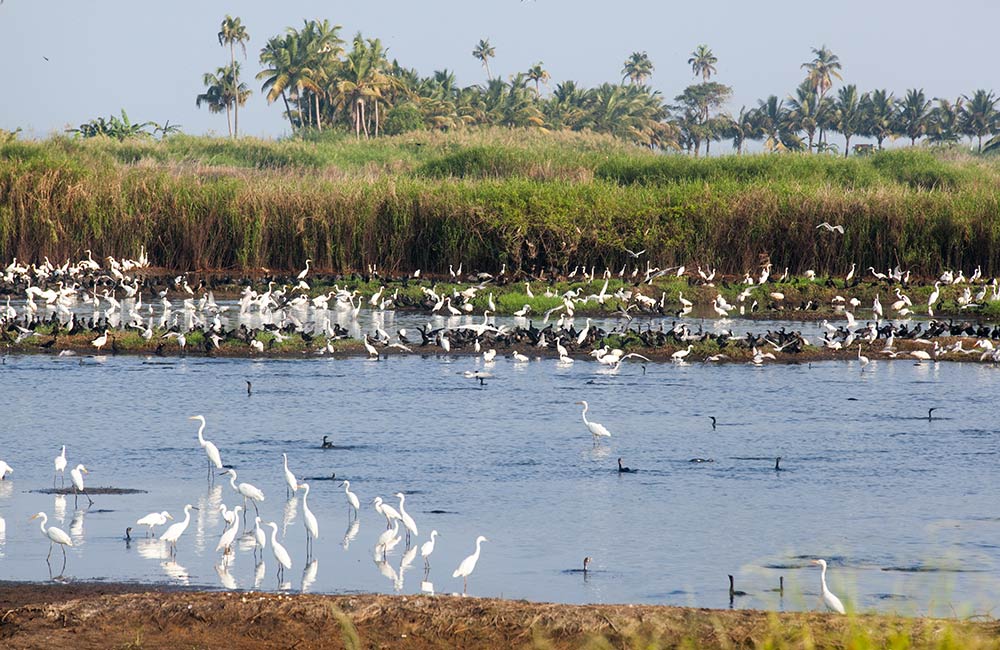 Pathiramanal, Alleppey