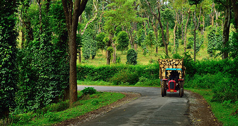 20 Tourist Places to Visit in Coorg 2024: ✔Location, Timings