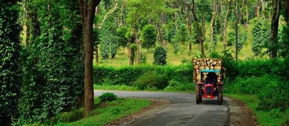 20 Amazing Places to Visit in Coorg