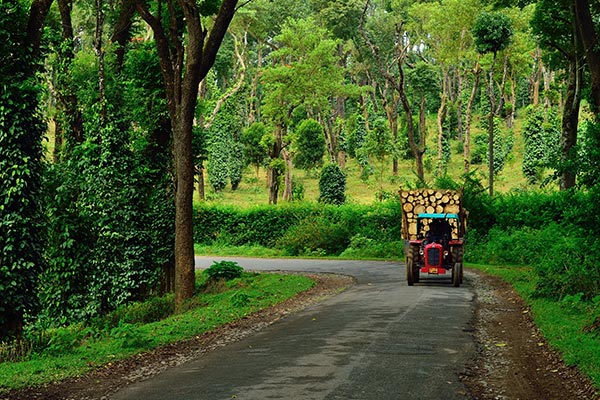 20 Amazing Places to Visit in Coorg