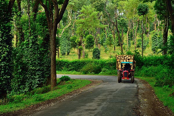 coorg trip from chennai