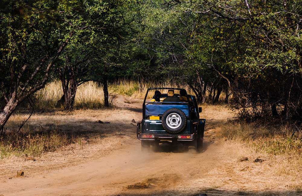 Jaipur to Ranthambore