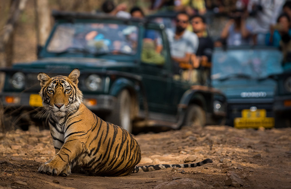 Sariska Tiger Reserve