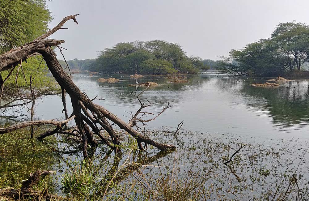 Sultanpur Lake