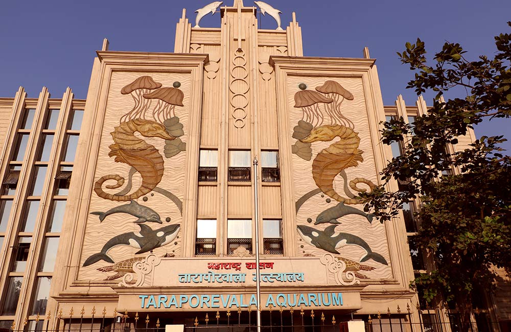 Taraporewala Aquarium, Mumbai