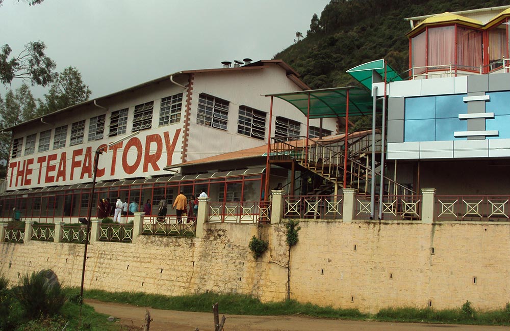 Tea Museum, Ooty