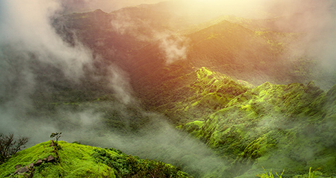 14 Things to Do in Mahabaleshwar: Activities list with location