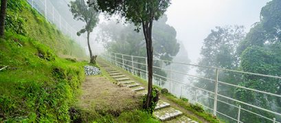 Top 20 Things to Do in Shimla