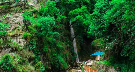 banner-image