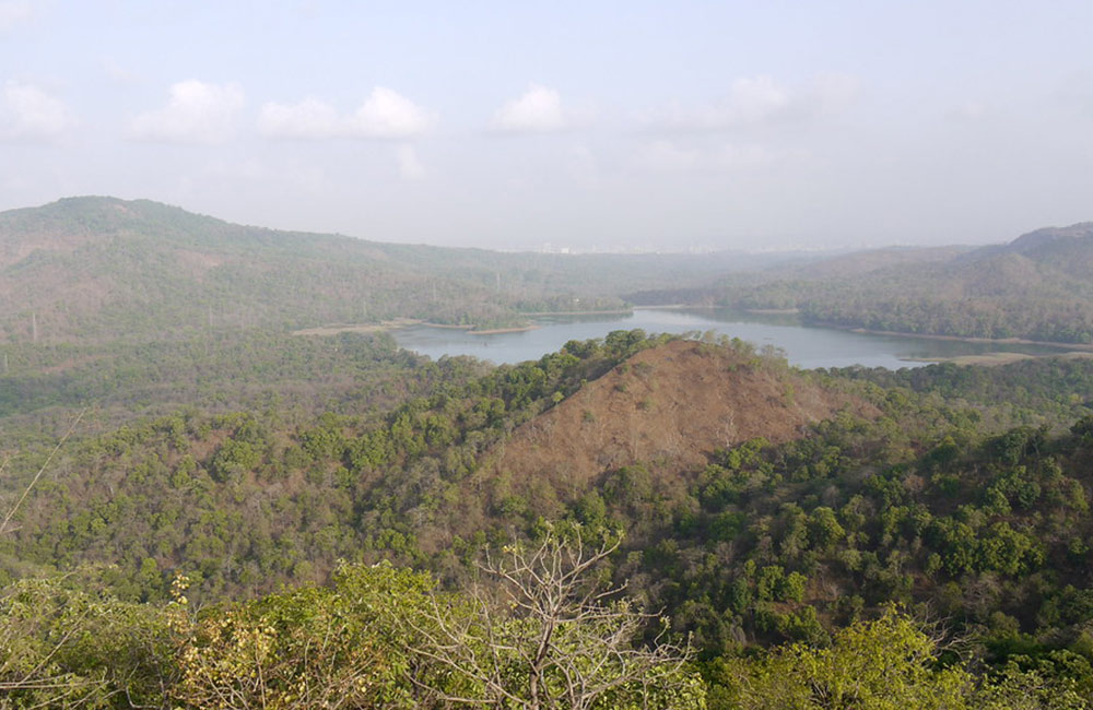 Tulsi Lake, Mumbai