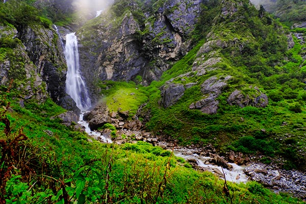 banner-image
