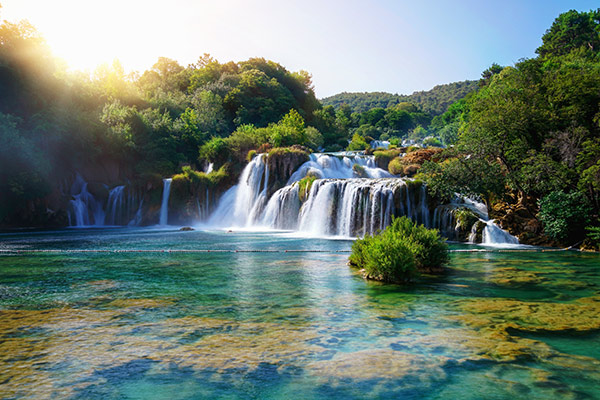 banner-image