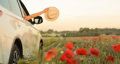 11 Best Weekend Getaways from Chandigarh in 2024 (Photos)