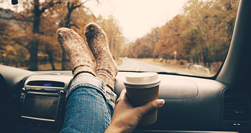 10 Weekend Getaways from Indore for 1-Day Trip (2024)