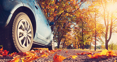 10 Best Weekend Getaways from Lucknow 2024 : Distance