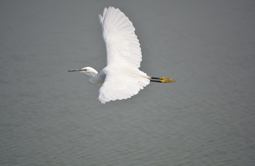 Ameenpur Lake