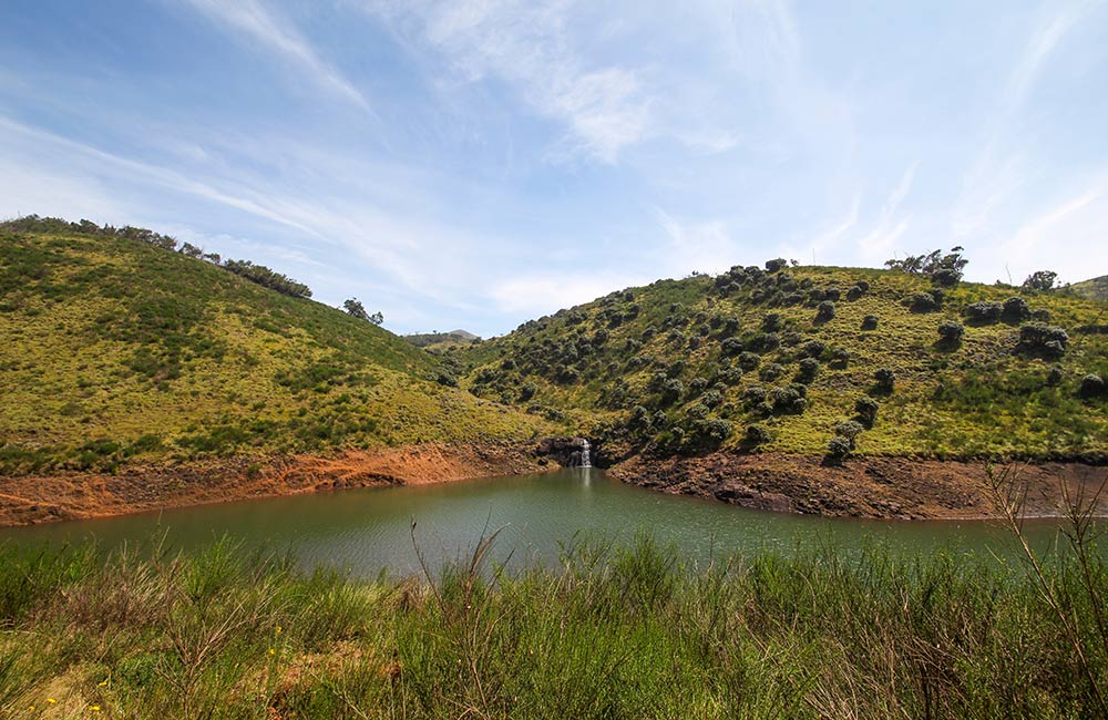 Avalanche Lake, Ooty