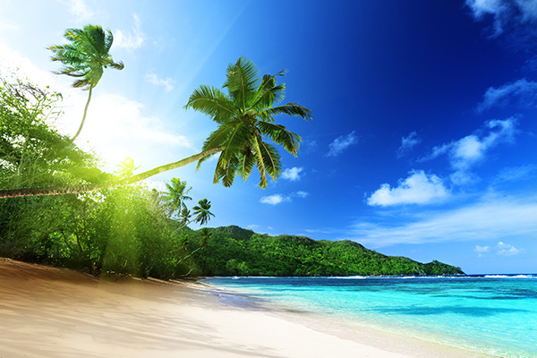 banner-image
