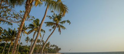 8 Best Beaches near Ahmedabad for a Fun Getaway