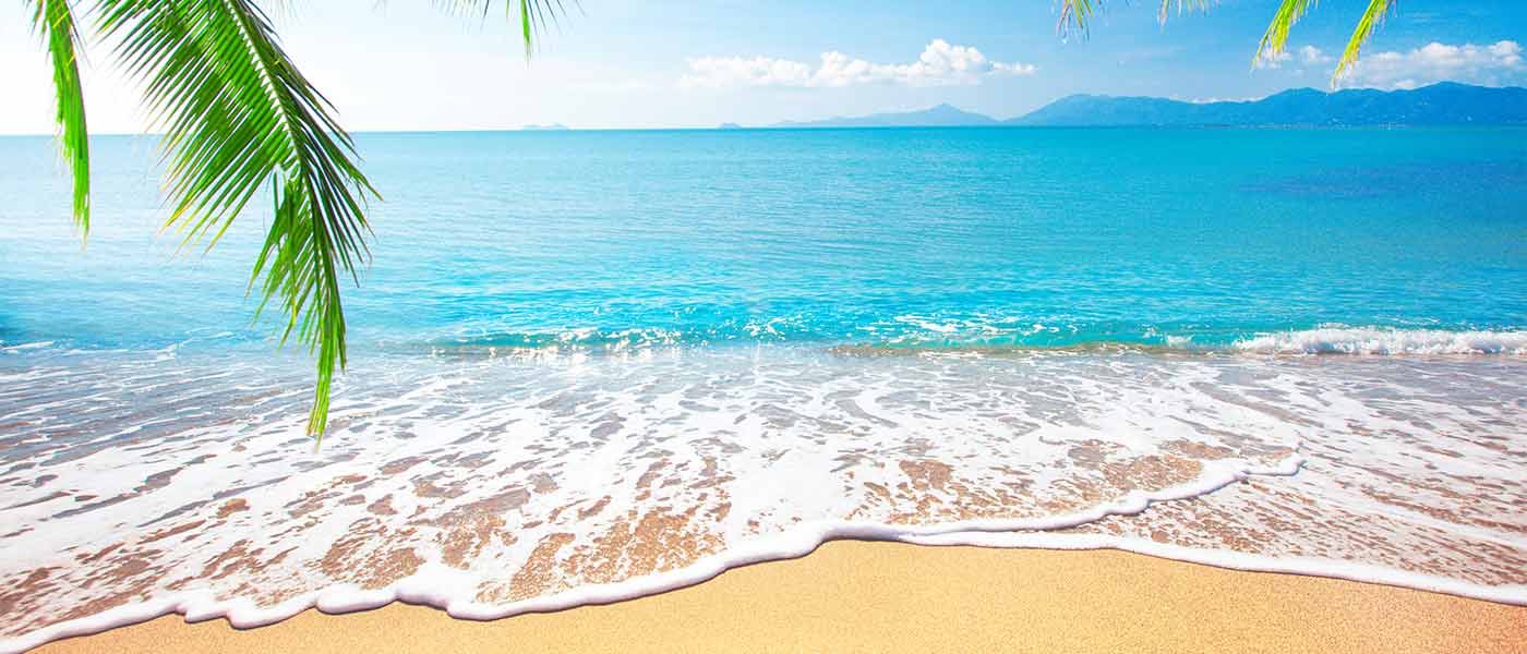 banner-image