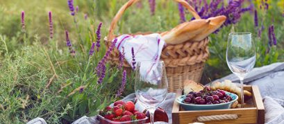 11 Best Picnic Spots in and around Ahmedabad