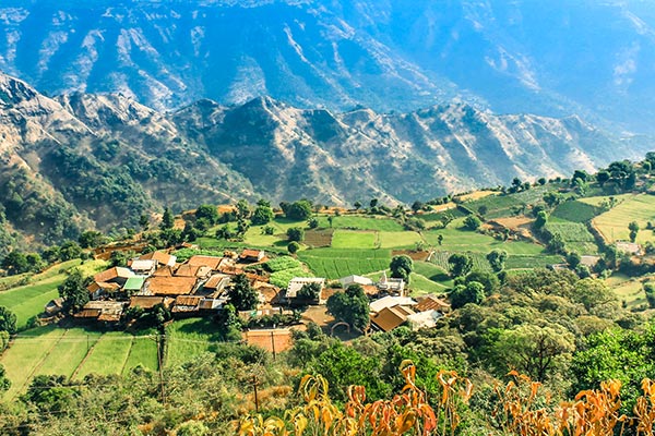 banner-image