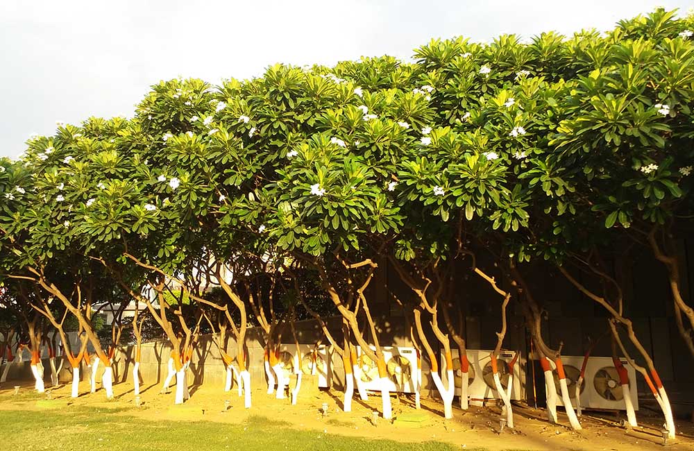 Buddha Smriti Park, Patna