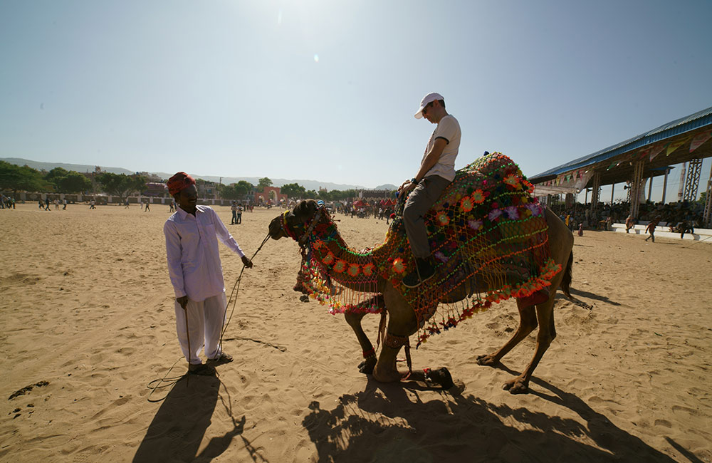 Camel Safari, Pushkar