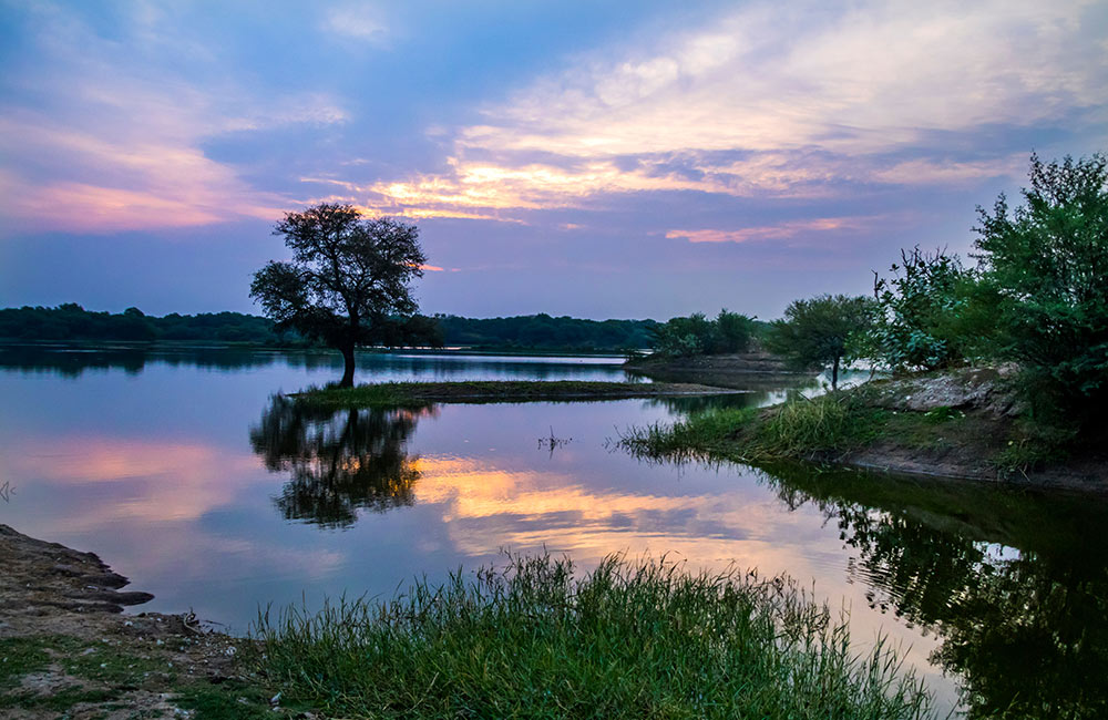 Chandola Lake, Ahmedabad