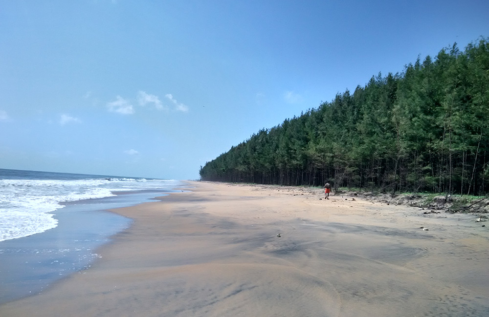 Chavakkad Beach,Thrissur