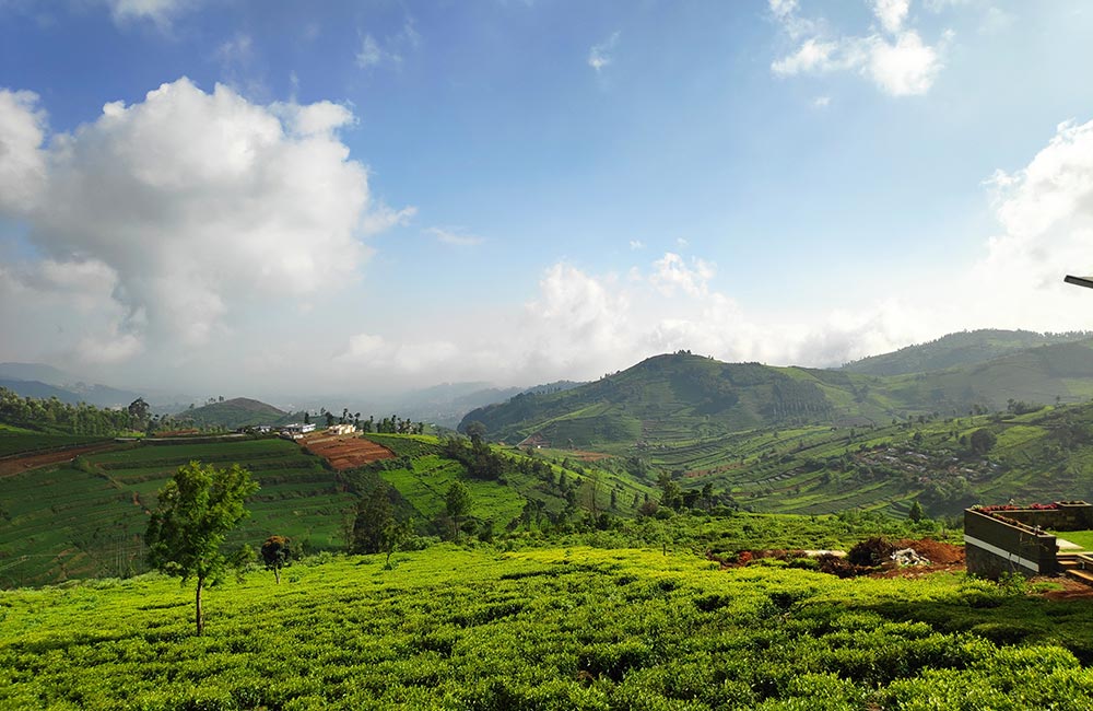 Doddabetta Peak, Ooty