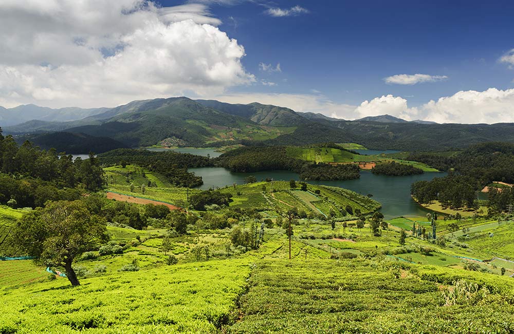 Emerald Lake, Ooty