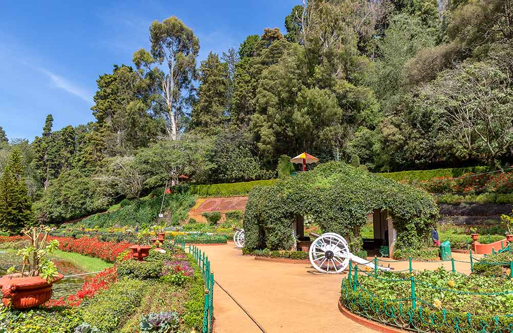 Government Botanical Garden, Ooty