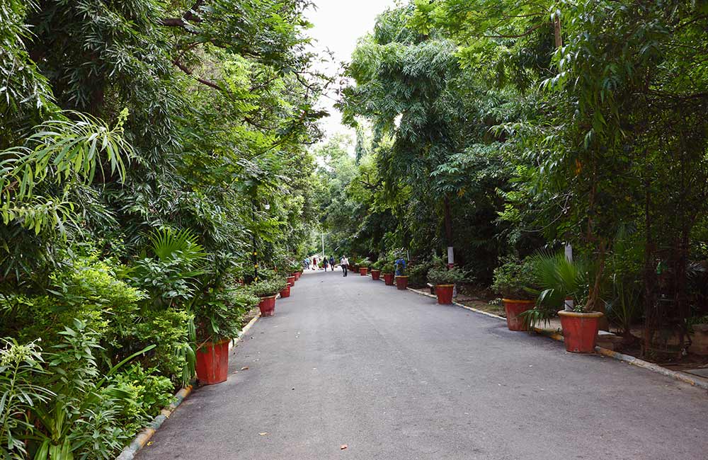 Gulab Bagh, Udaipur