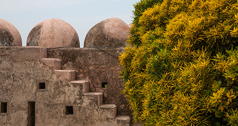 12 Top Historical Places in Chandigarh with Location & Entry Fee