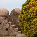 12 Top Historical Places in Chandigarh with Location & Entry Fee