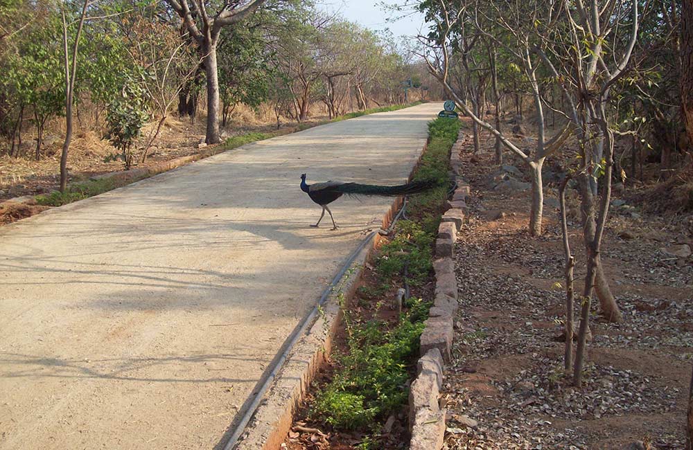 KBR National Park, Hyderabad