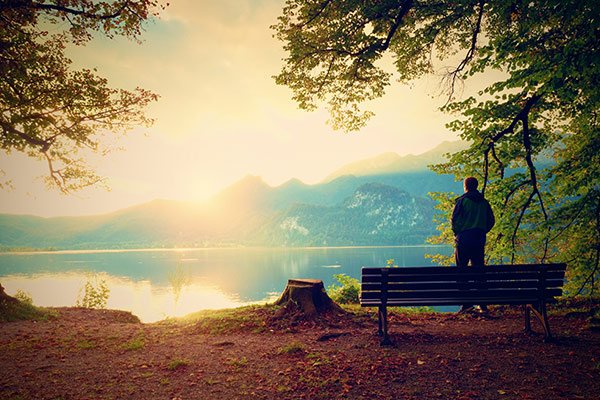 banner-image