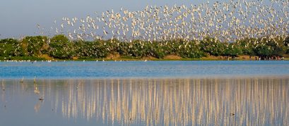 Top 5 Lakes in Ahmedabad