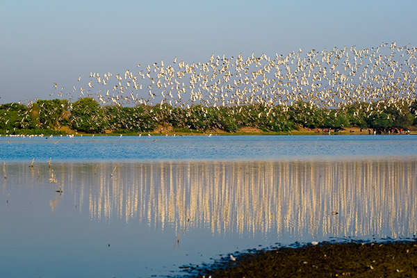 Lakes in Ahemadabad