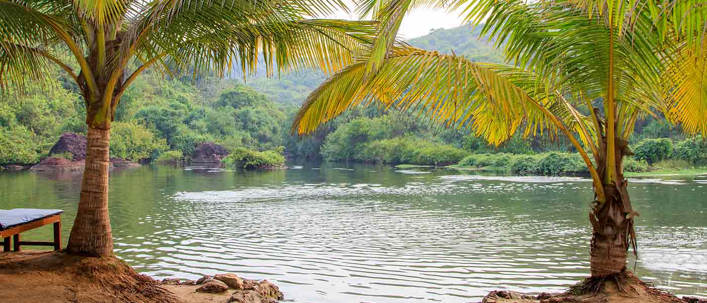 banner-image