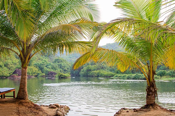 7 Must-Visit Scenic Lakes in Goa